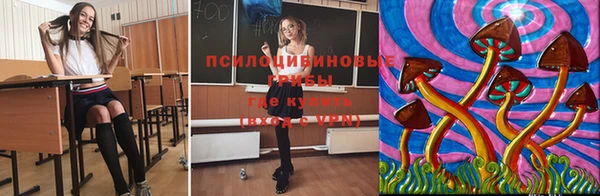 не бодяженный Алексин