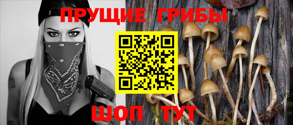 Галлюциногенные грибы Magic Shrooms Гурьевск