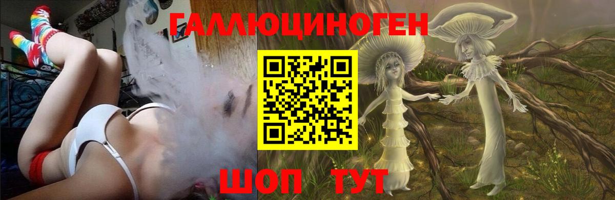 Гурьевск  Псилоцибиновые грибы Psilocybine cubensis  Псилоцибиновые грибы Psilocybine cubensis  Вход с VPN 