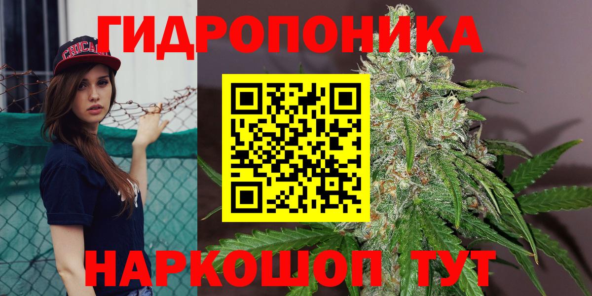Конопля планчик Гурьевск